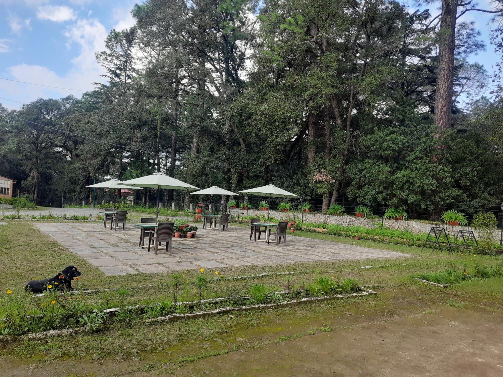 West View Hotel Ranikhet Exterior photo